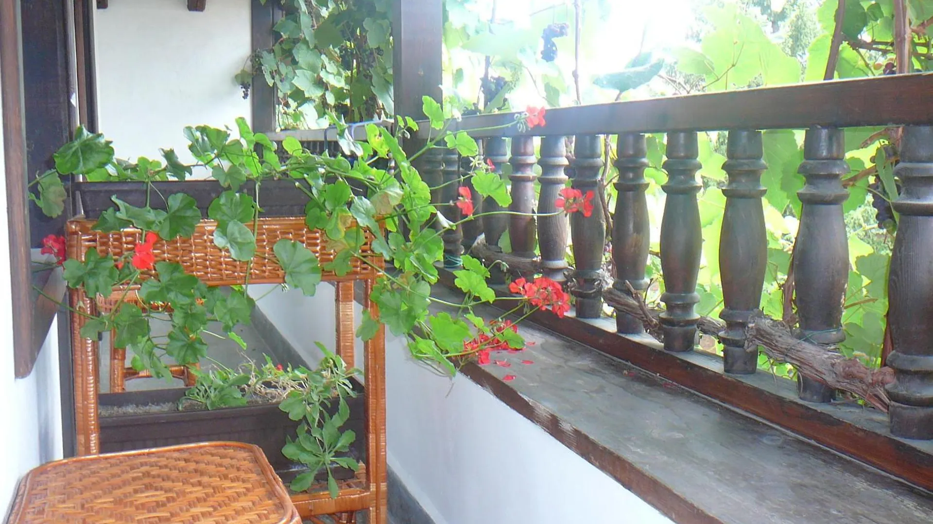 Къща За Гости Типик Bansko Guest house